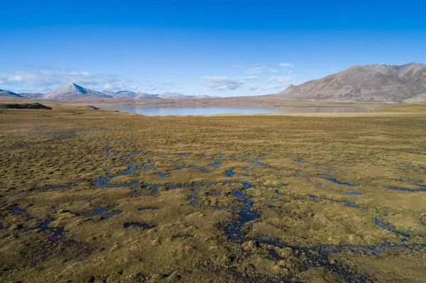 Les meilleurs joueurs d'eSports de tous les temps